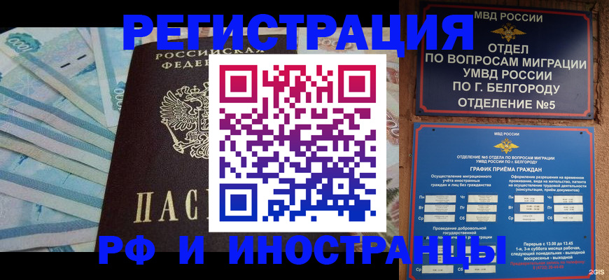 временная регистрация недорого в Щёлково